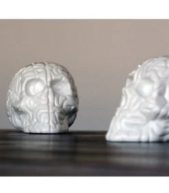 Skull Brain - Emilio Garcia