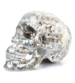 Skull Platinum B - Noon
