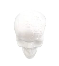 Skull KOI Engraving - Noon