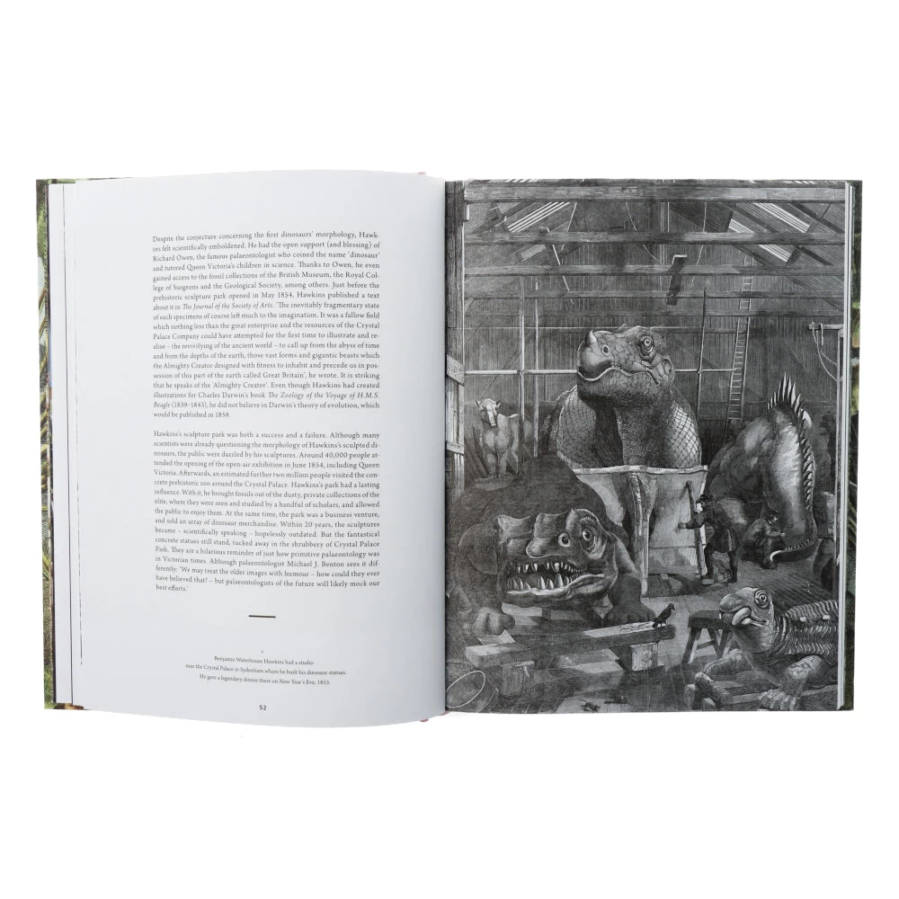 Dinosaurs Are Collectible – Image 4