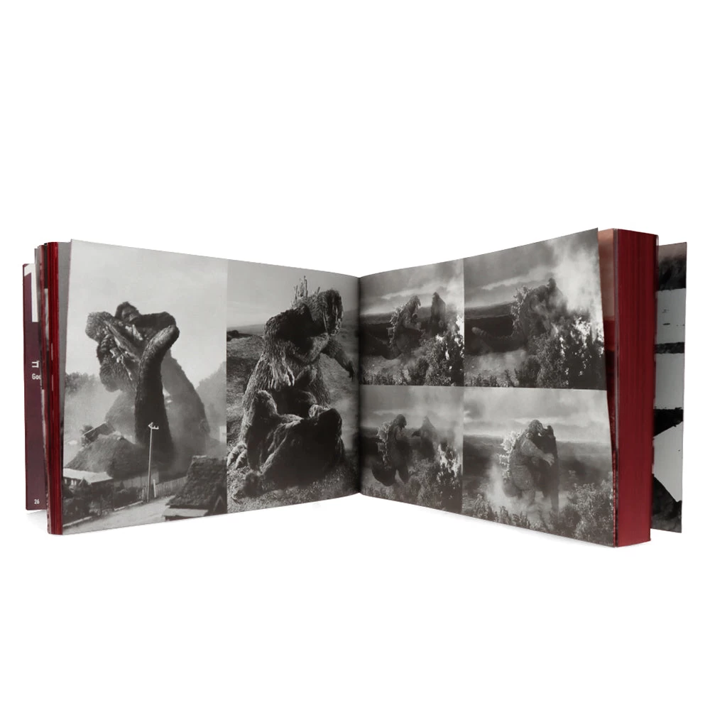 Godzilla History Of Formative Arts 1954-2016 – Image 3