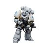 Space Marines White Consuls Intercessors 2