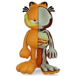 XXRAY Plus Garfield